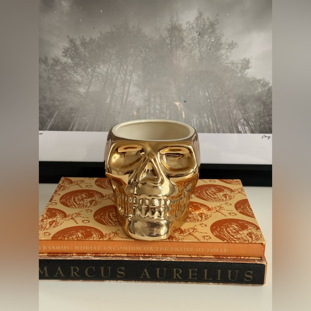 Ceramic skull planter